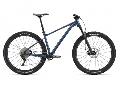 Giant Fathom 29 2 Bike World Lux